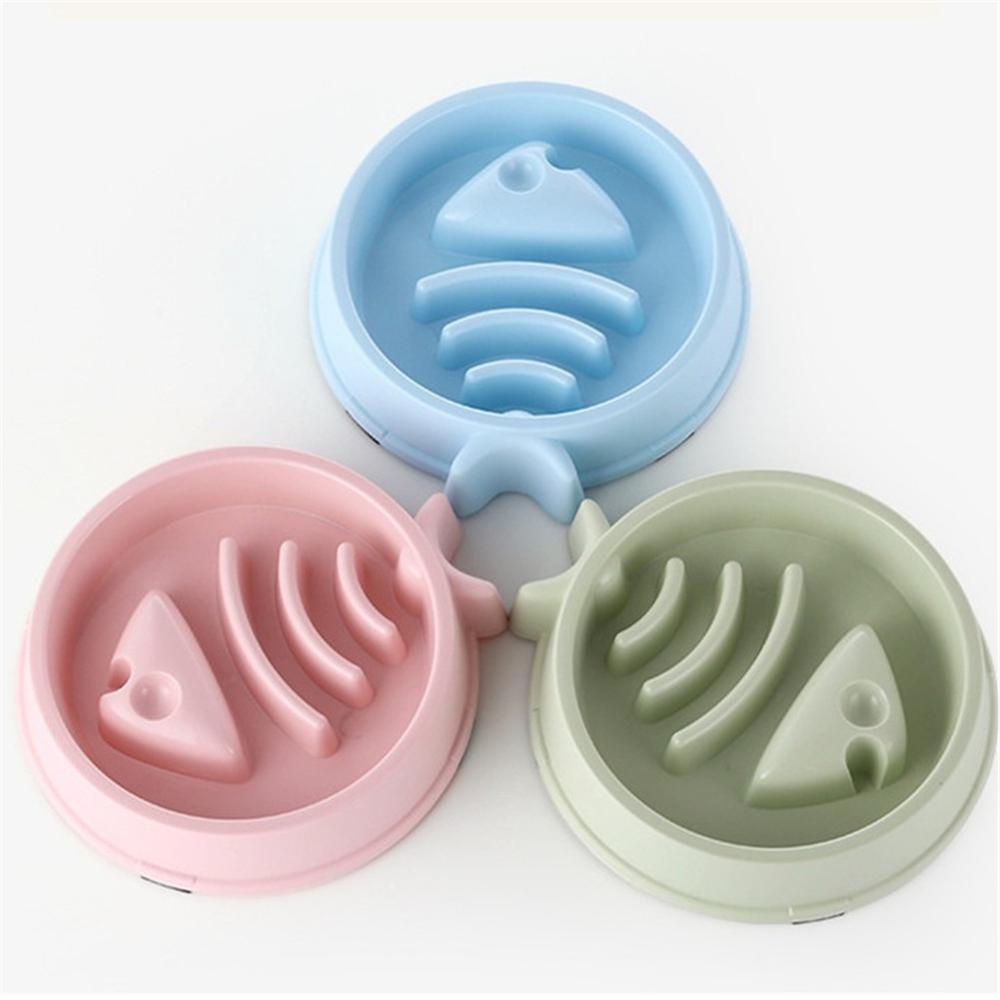 Slow & Steady Feeder Bowl