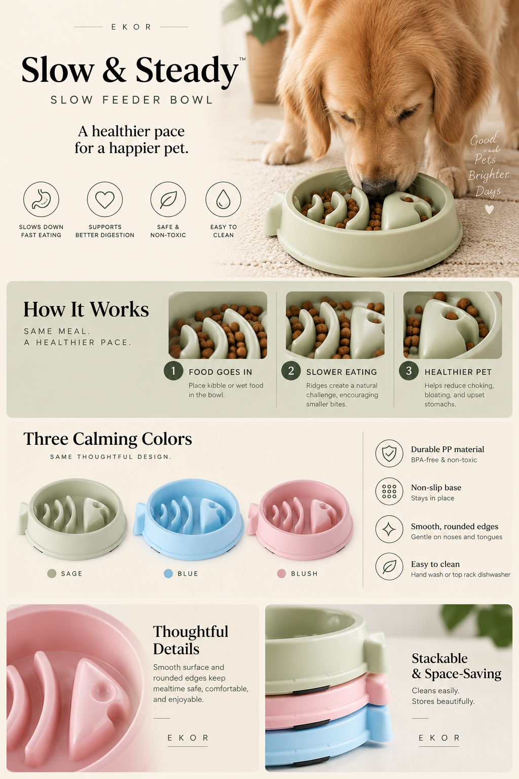 Slow & Steady Feeder Bowl